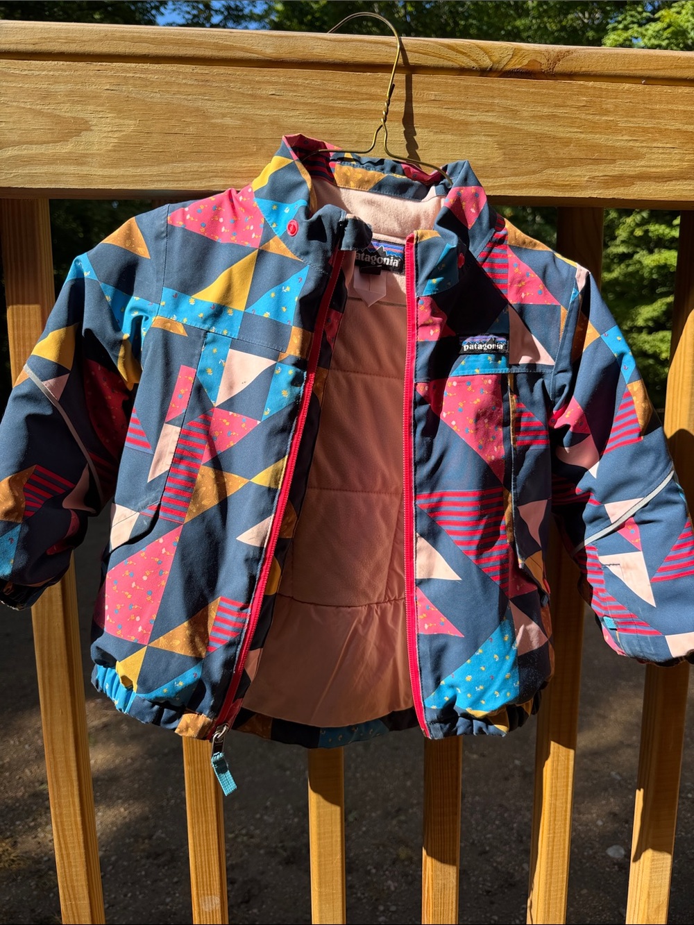 Patagonia Kids Multicolor Geometric Puffer Jacket with Pink Lining